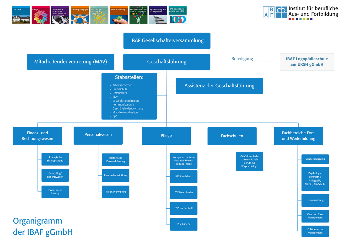 Organigramm der IBAG gGmbH